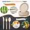 250 Pieces Disposable Paper Plates Set, Compostable Plate Sugarcane Utensils Eco Friendly Dinnerware Kit Includes 50 Biodegradable Plates, Forks, Knives and Spoons for Brithday Party Camping